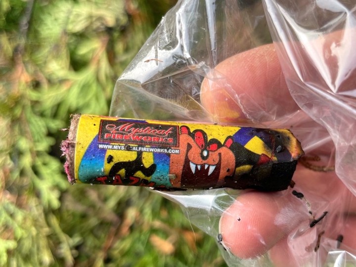  Firecrackers were found at the scene of a Burnaby home where 12-foot cedar hedges were engulfed by 20-foot high flames before being extinguished on Oct. 31, 2021.