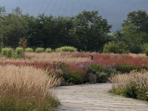 The restoration of a significant part of Hokkaido, Japan's northern most island, is the subject of Dan Pearson's new book, Tokachi Millenium Forest.