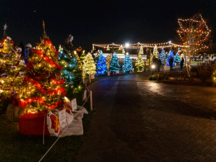  Tsawwassen Springs Festival of Lights.