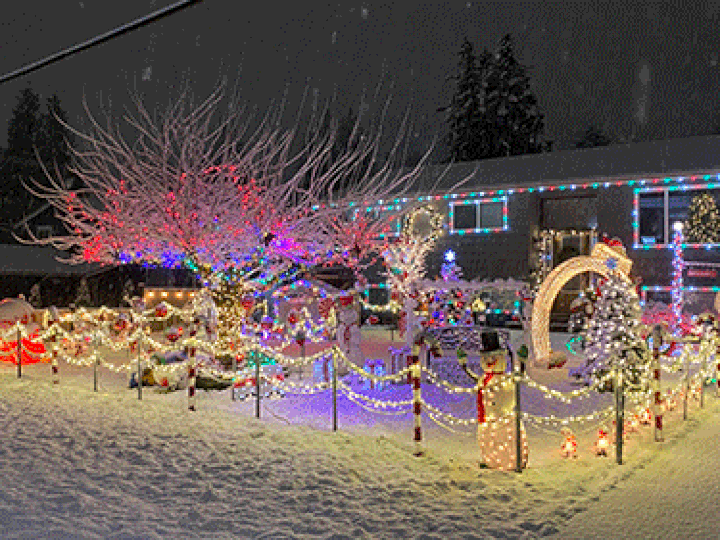  Warren Family Lights.