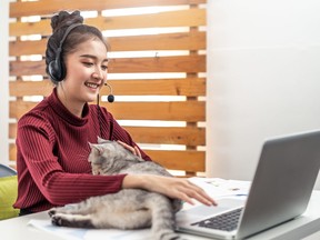 Young woman working on laptop from home due to coronavirus pandemic with cat on desk.