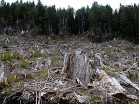 Ongoing concerns around the profitability of B.C.’s total fibre supply, particularly against high operating costs for logging companies and mills are expected to continue into the new year.