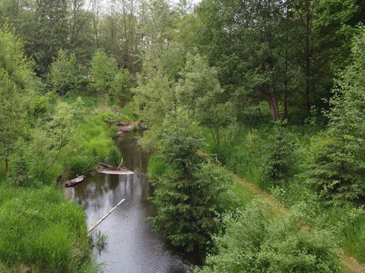  The Tatalu (Little Campbell) River in Surrey, one of B.C.’s most endangered rivers. The Tatalu is 30 kilometres long and one of Metro Vancouver’s most productive salmon streams.