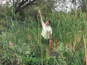 Rancher Dave Zehnder in a riparian area. The head of Farmland Advantage works with farmers to protect and restore natural land, which can help prevent flooding.