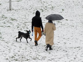 A couple plays with their dog after a December snowfall  in Vancouver.