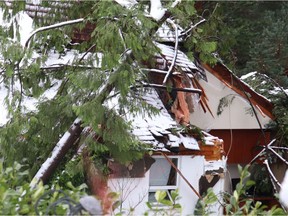 Dos personas murieron cuando un árbol cayó sobre su casa en Horsepower Bay a la 1:30 a.m. del domingo 2 de enero.