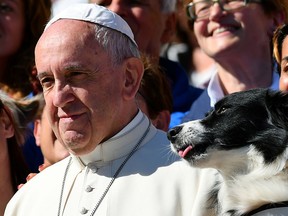 Pope Francis poses for a picture next to a dog after his general audience in St Peter's square at the Vatican on October 5, 2016.