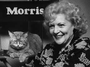Betty White mit einem unbeeindruckten Morris the Cat aus der TV-Werbung während einer Presseveranstaltung 1989 in Vancouver.