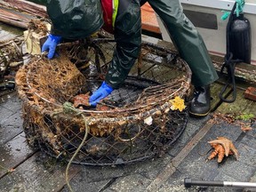Star fish are removed from lost crab traps in the waters around the Tla-o-qui-aht First Nation near Tofino.