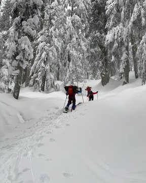 North Shore Rescue wurde am Montag, dem 3. Januar, gerufen, um einen Skifahrer zu retten, der sich bei einer Lawine am Hollyburn Mountain in der Nähe des Cypress Mountain Resort ein Bein gebrochen hatte.