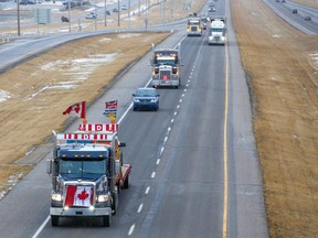 Trucks in the “freedom convoy” of truckers head east on the Trans-Canada Highway east of Calgary on Monday, Jan. 24, 2022.