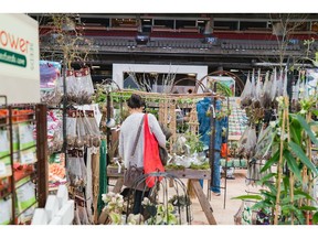 A wide selection of garden plants and products are available at the B.C. Home and Garden Show.