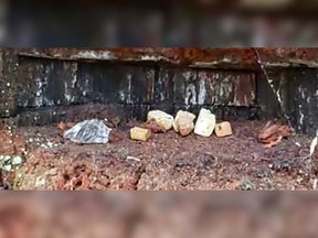 North Vancouver RCMP said the treats appeared to be "purposefully placed" near small pieces of broken glass on a hollowed tree stump located along the Mosquito Creek trails near Glen Canyon Drive.