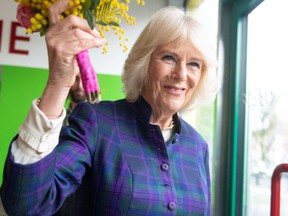 Camilla, Duchess of Cornwall holds flowers that she received during a visit to Nourish Hub, at Shepherd's Bush, London, February 10, 2022.