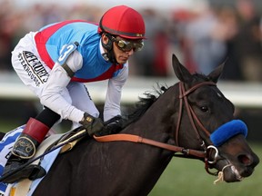 The Kentucky Horse Racing Commission has stripped Medina Spirit of the 2021 Kentucky Derby title after the horse tested positive for a banned medication. The horse died in December after a workout at Santa Anita Park in Arcadia, Calif.