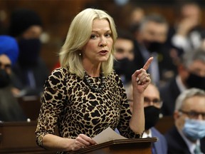 Conservative Party interim Leader Candice Bergen rises during Question Period in Ottawa on Wednesday, February 9, 2022.