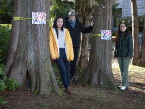 Su Wang, Harry Maier and Hong Lang (left to right) stand next to mature trees that are slated to be cut down to make way for the expansion of Carey Theological College on the University of B.C. campus on Friday.