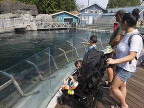 A day of family fun at the Vancouver Aquarium.