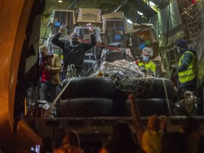 Flüchtlingstiere treffen am 1. Februar 2022 aus Afghanistan bei YVR in Richmond ein.