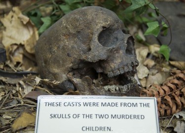 A cast of a skull from the mystery of the Babes in the Woods.