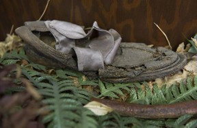 Ein Damenschuh aus dem Geheimnis der Babes in the Woods, den skelettierten Überresten zweier kleiner Jungen, die 1953 im Stanley Park gefunden wurden, wird im Vancouver Police Museum nachgebaut, mit den tatsächlichen Artefakten, die am Tatort gefunden wurden, neben Nachbildungen der Skelette.