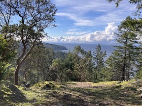 Arbutus Ridge is located on the west side of Bowen Island, with lots offering plenty of privacy and about half of the development dedicated to park and farmland.