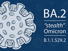 BA.2, a sub-variant of the Omicron version of COVID-19, has prompted surges in many countries in Europe and Asia.