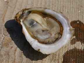 The Canadian Food Inspection Agency is recalling certain Stellar Bay Shellfish brand Chef Creek Oysters due to a possible norovirus contamination.