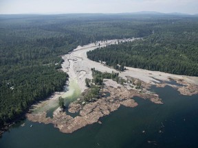 Der Inhalt eines Absetzbeckens fließt am 5. August 2014 den Hazeltine Creek hinunter in den Quesnel Lake in der Nähe der Stadt Likely, BC.