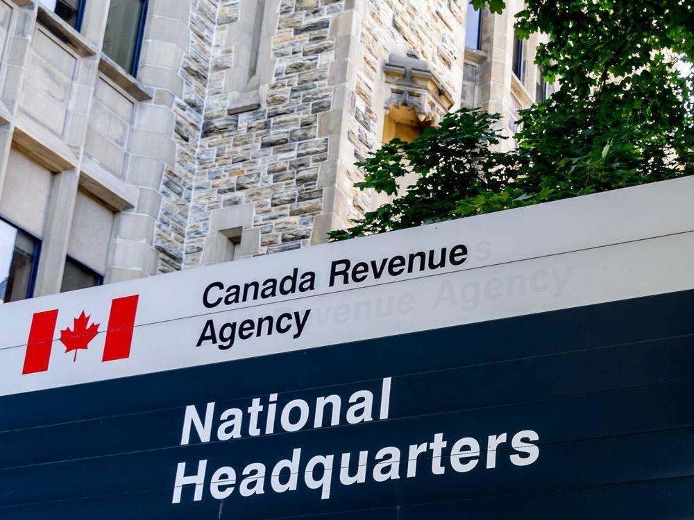 New to Canada, or the workforce? Here's what to know about filing taxes