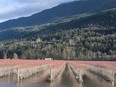 Sumas Prairie residents began the slow process of repairing the damage caused by earlier flooding. Pictured is flood damage on Tolmie Road on Dec. 8, 2021.