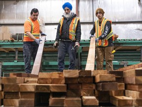 Mill workers sorts and stacks pieces of lumber at the PowerWood mill in Agassiz.