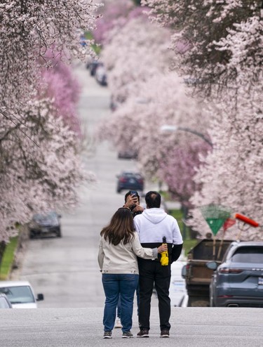 A couple poses for photos while taking in the annual cherry and plum blossom bloom in Vancouver, March, 25, 2022.