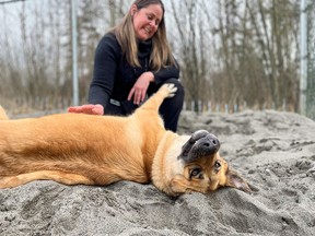 Surrey Animal Resource Centre manager Shelley Joaquin plays with Honey in the sandbox that was created to help keep her and other dogs at the shelter busy during the COVID-19 pandemic.