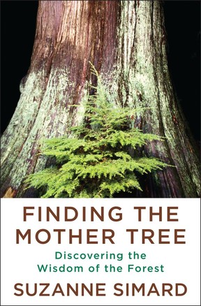 Finding the Mother Tree by Suzanne Simard has been shortlisted for two BC and Yukon Book Prizes.Photo credit: Courtesy of Penguin Random House