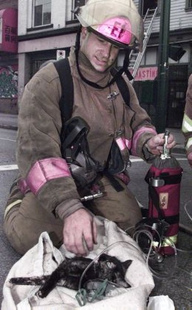 Firefighter Steve Letourneau smiles at realizing that a cat he has been resuscitating has come around.  Steve worked on the cat about 15-20 minutes.   Ian Smith/Vancouver Sun