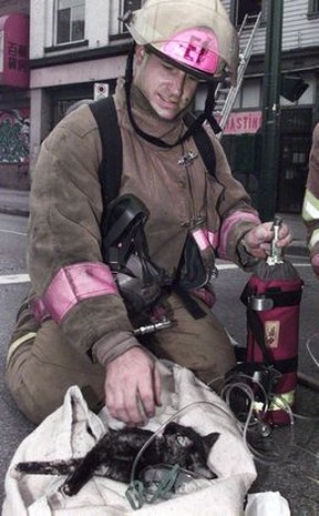 Feuerwehrmann Steve Letourneau lächelt, als er feststellt, dass eine Katze, die er wiederbelebt hat, zu sich gekommen ist.  Steve arbeitete ungefähr 15-20 Minuten an der Katze.  Ian Smith/Vancouver So