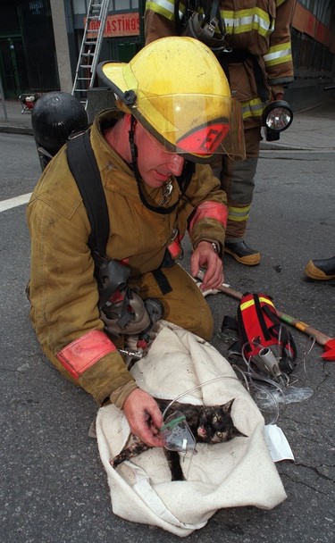 1998. Vancouver fire fighter Steve Letourneau rescusitates a cat rescued from a burning building on the corner of E. Hastings and Columbia St in Vancouver on Tuesday afternoon. No injuries were reported, but several people were made homeless by the blaze. Province photo by Nick Procaylo