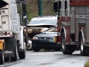 Una persona murió cuando un árbol cayó sobre Marine Way en el sur de Vancouver el martes 12 de abril de 2022 por la tarde.