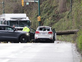 A tree fell across Marine Way in South Vancouver, killing one person.
