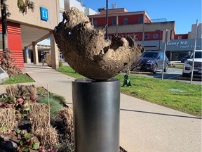 The bronze artwork on display outside B.C. Children's Hospital.