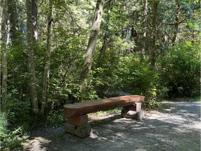 These photos show the wooded area that the town of Gibsons has designated as an Indigenous Healing Forest. There are about 10 such healing forests in Canada, and this one will be B.C.'s first.