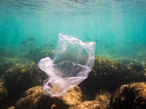 The B.C. government is providing $10 million to help businesses reduce plastic waste and pollution.