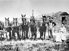 Millions of struggling immigrants from Ukraine, Scotland, Iceland, Russia, France and elsewhere  responded to Canada's offer in the 1800s and early 1900s to homestead so-called free land. (Archive photo: New arrivals to Saskatchewan with their sod hut.)