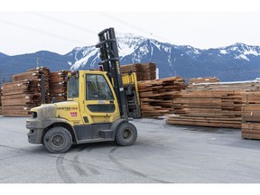 Its estimated that B.C.'s timber harvest will have to shrink by 12 per cent this year under the weight of old-growth logging deferrals, losses from forest fires and continuing hangover from the mountain pine beetle infestation. Pictured here, stacks of lumber sit outside at the Power Wood mill in Agassiz, BC, March, 24, 2022.