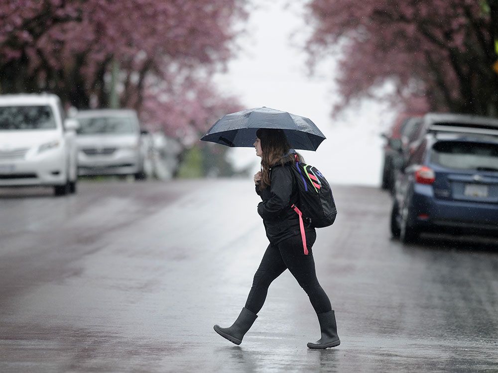 Vancouver weather: Cloudy with rain on and off for Mother's Day - Vancouver Sun