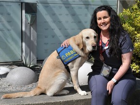 Roo, a victim services facility dog, with emergency room social worker Christine Simmons outside Peace Arch Hospital in White Rock on April 19. Roo was bred, raised and trained by the Pacific Assistance Dog Society of Burnaby.