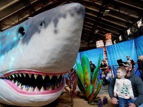 The Mighty Megalodon is the apex predator of Jurassic Quest, May 13-15 at the Vancouver Convention Centre.