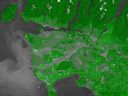 Enhanced color satellite imagery shows vegetation estimates in Metro Vancouver as of June 30, 2021.