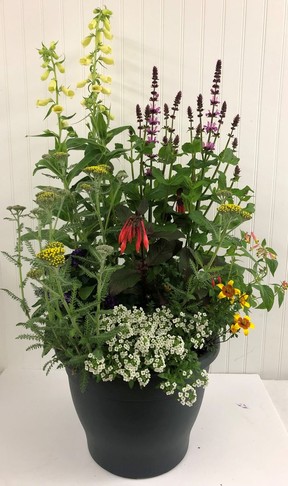 Today, creating a perennial container for pollinators and hummingbirds has become very important.